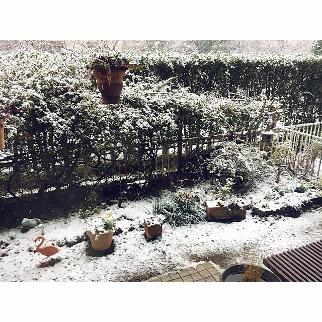 kfさんの部屋