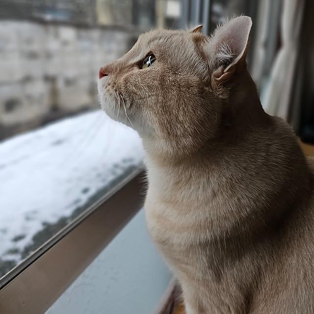 makoさんの実例写真