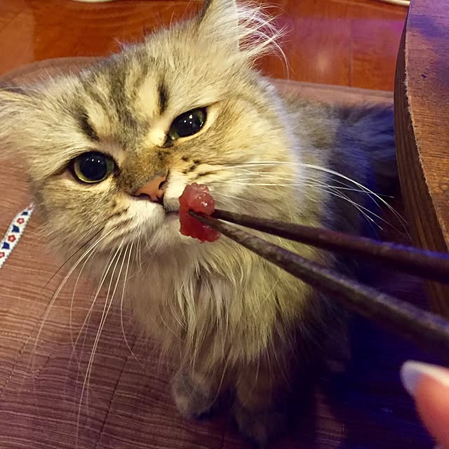 butachanさんの実例写真