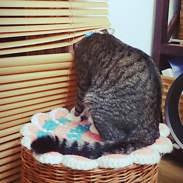 Lukiさんの実例写真