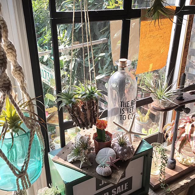 edenさんの実例写真