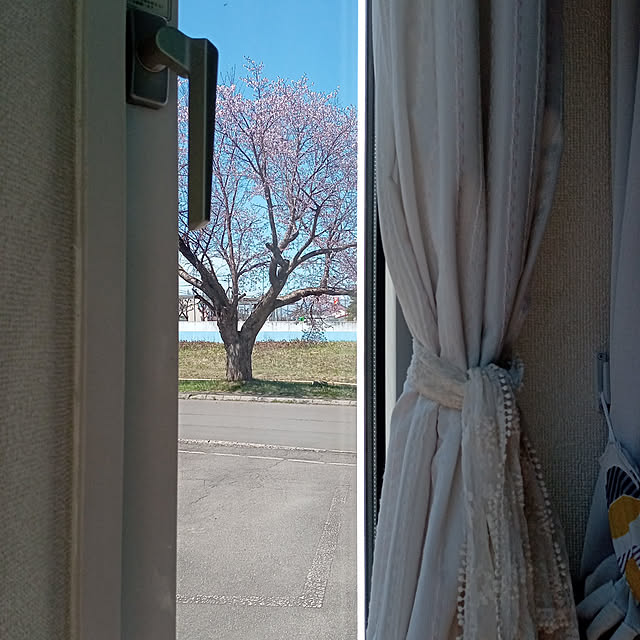 mahiro34さんの実例写真