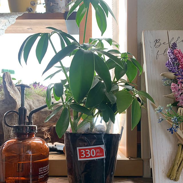 Fumiさんの部屋