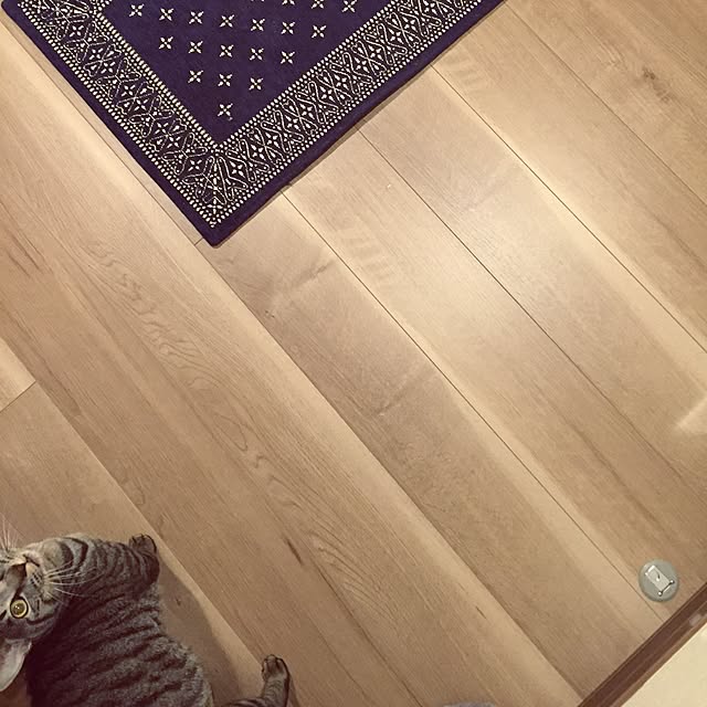 yoppeさんの実例写真