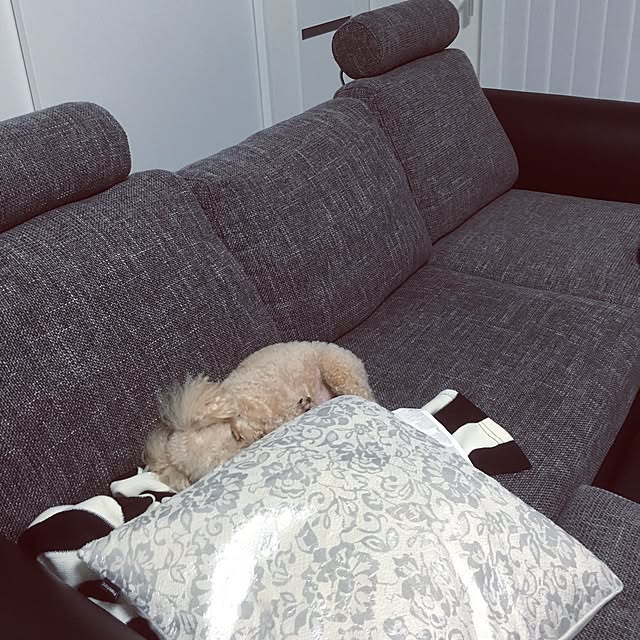 Kanokoさんの実例写真