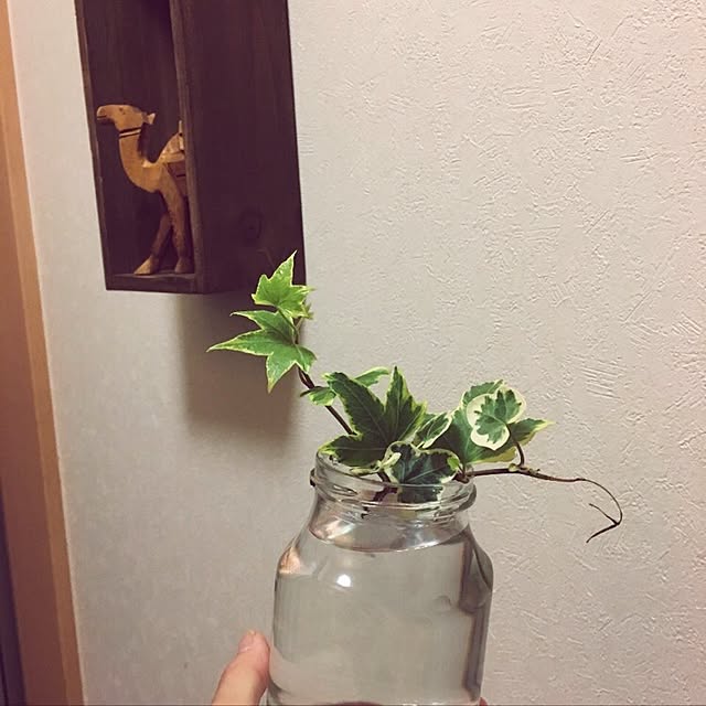 mi.....さんの実例写真