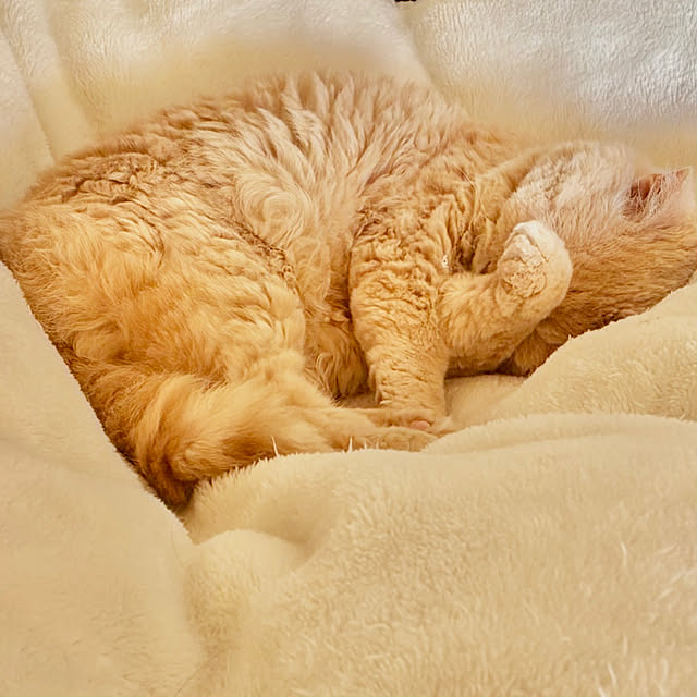 naokoさんの部屋