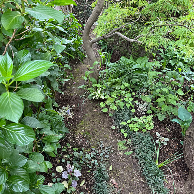 mamizaさんの部屋