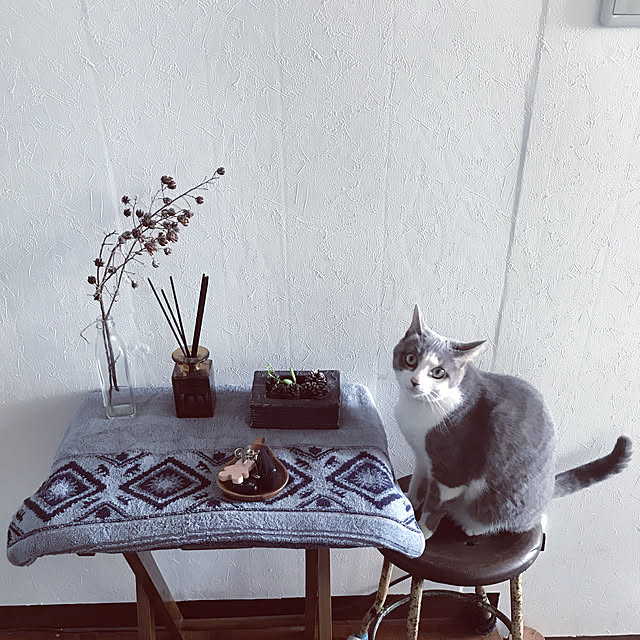 chicchiさんの実例写真
