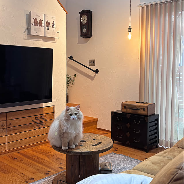 chibinoriさんの部屋