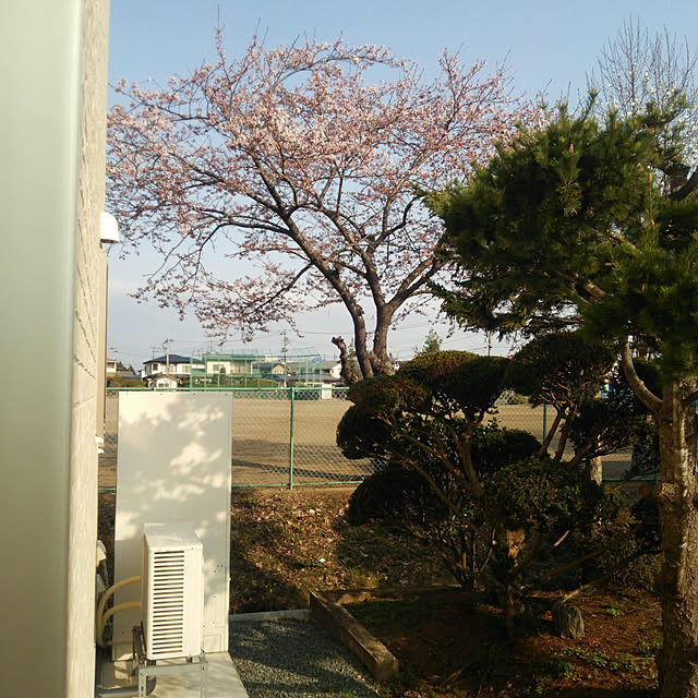 icchiさんの実例写真