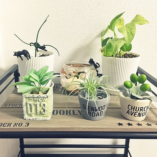 JUNさんの実例写真