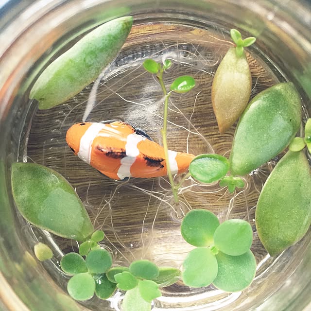 mokaさんの実例写真