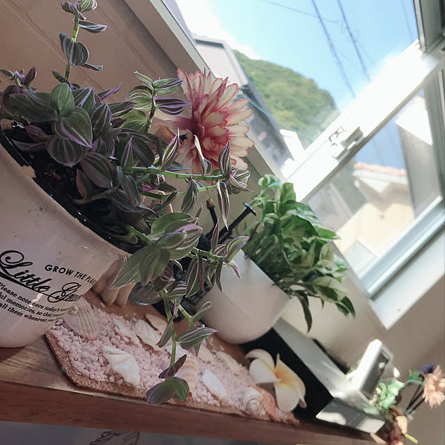 seika.wさんの実例写真