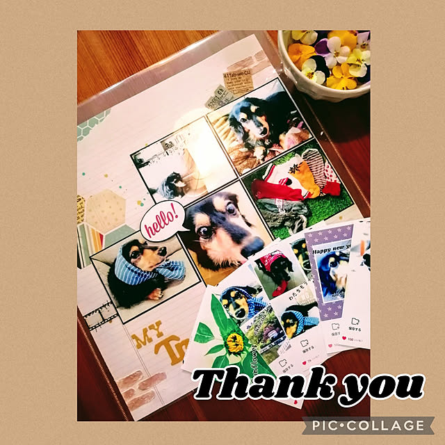 mayuさんの実例写真