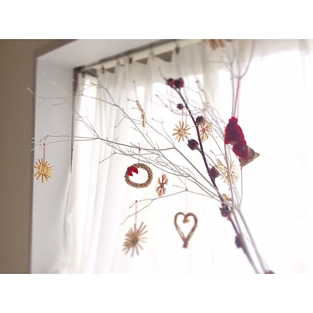 Mikiさんの実例写真