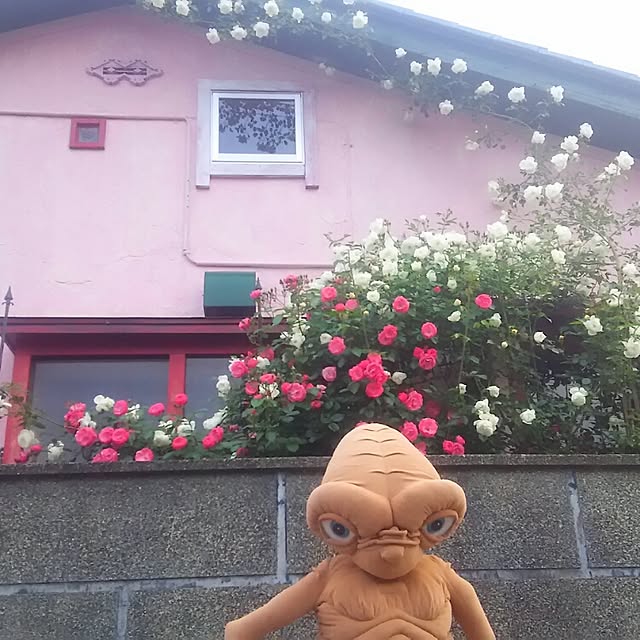 ganamiさんの実例写真
