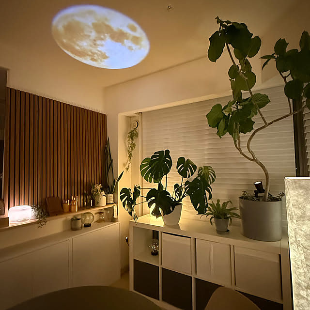 greenさんの部屋