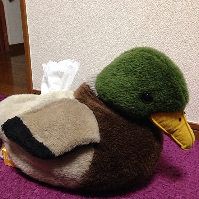 部屋全体/鳥ちゃん達/我が家で一番古いもの…/古いもののインテリア実例 - 2014-03-22 19:18:21