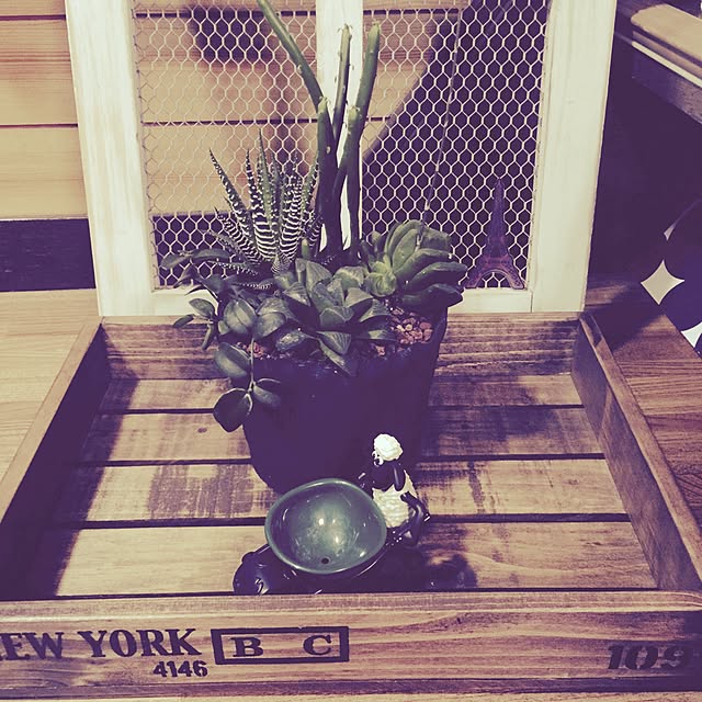 imaさんの実例写真