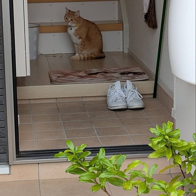 minnieさんの実例写真