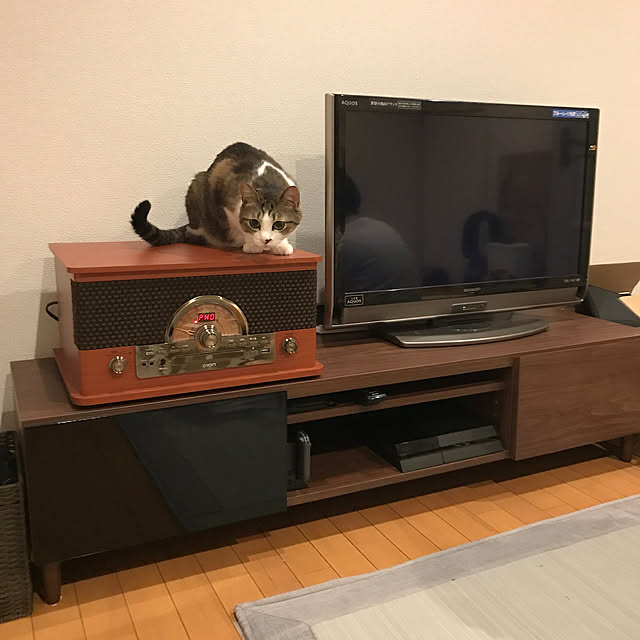 gataさんの実例写真