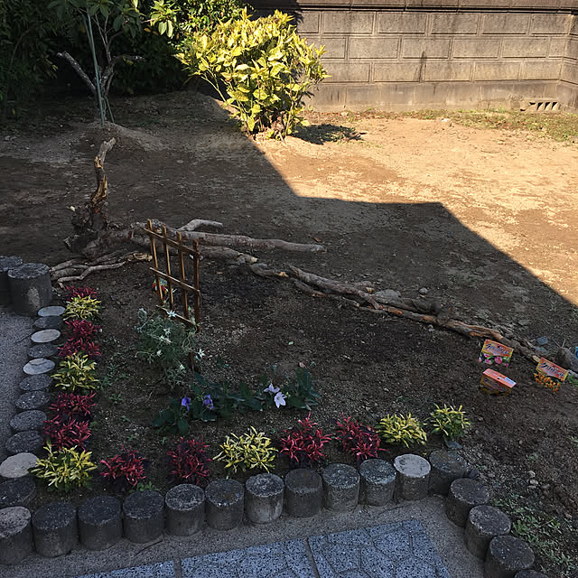 t-blueさんの実例写真