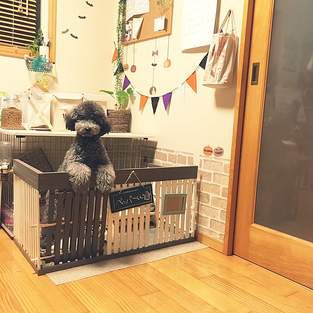makoriさんの実例写真