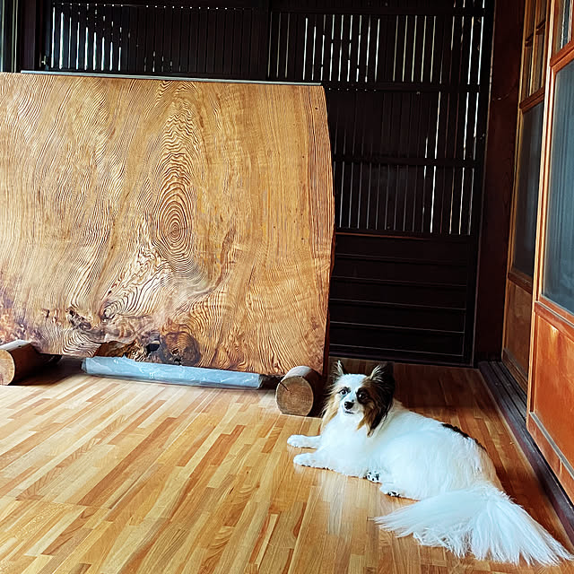 lucia.blumoonさんの実例写真