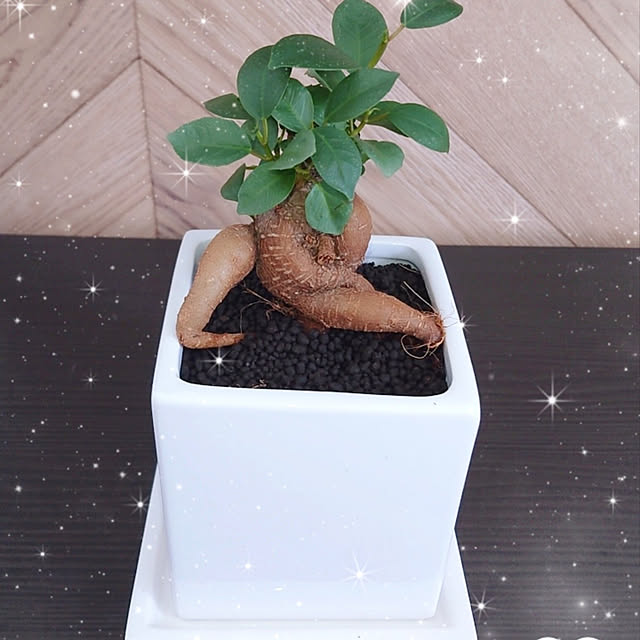 naorinさんの実例写真