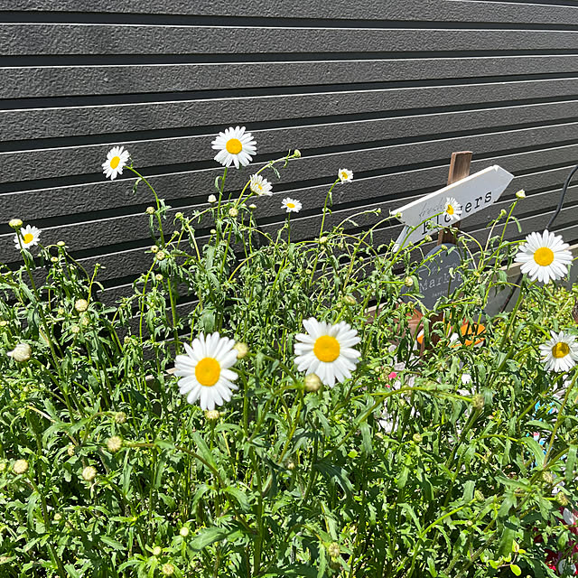 eriharuさんの部屋