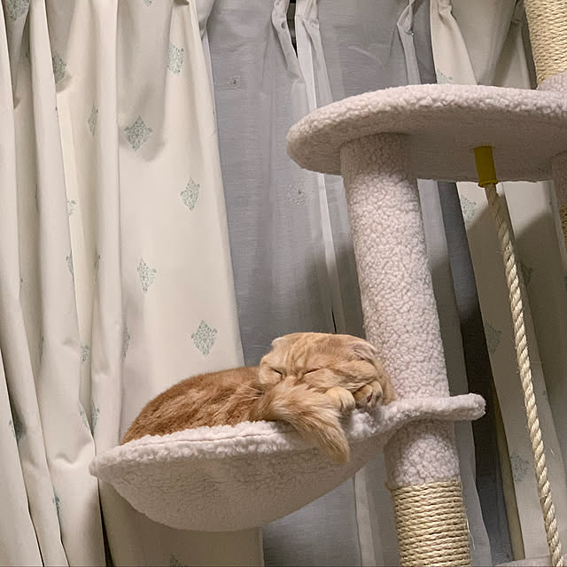 madrigal.Dさんの実例写真