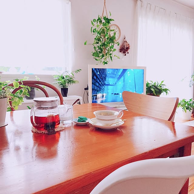 surviveさんの部屋