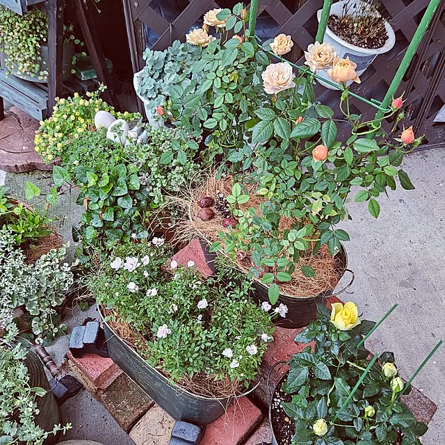 mocomocoさんの部屋