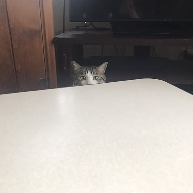 okyosan101さんの実例写真