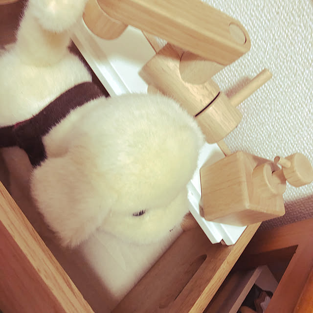 kotaさんの実例写真
