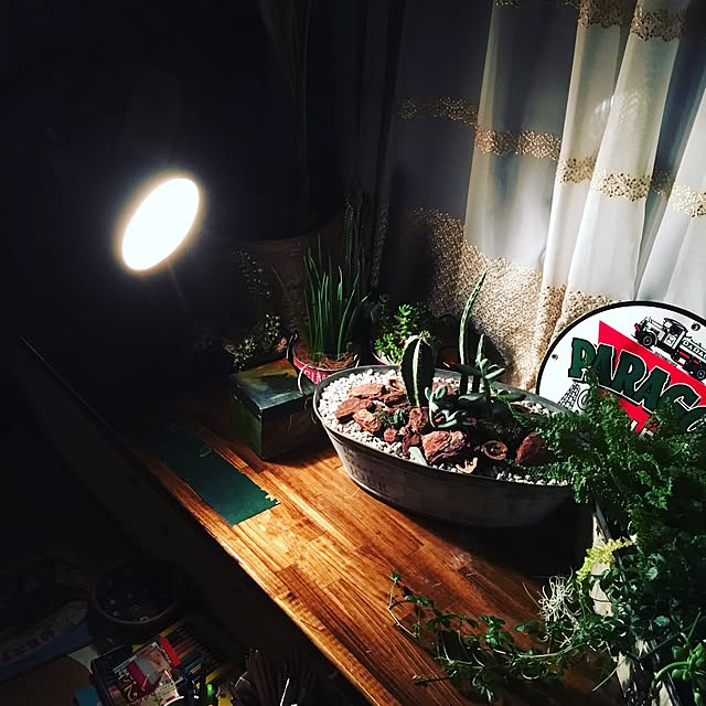 rinppさんの実例写真