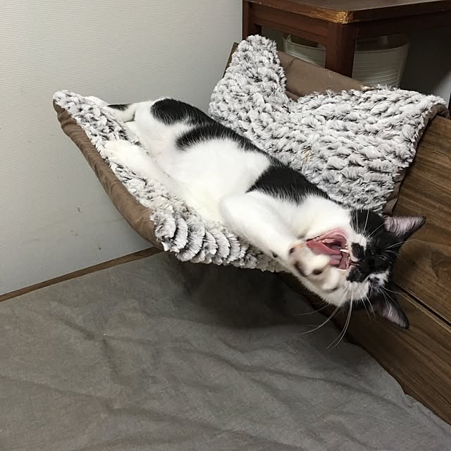 mikomaruさんの実例写真
