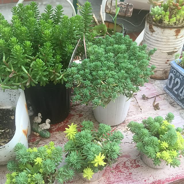 recipeaさんの実例写真