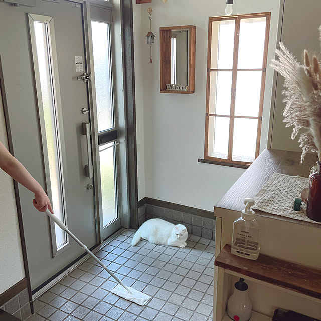 kotoriさんの実例写真