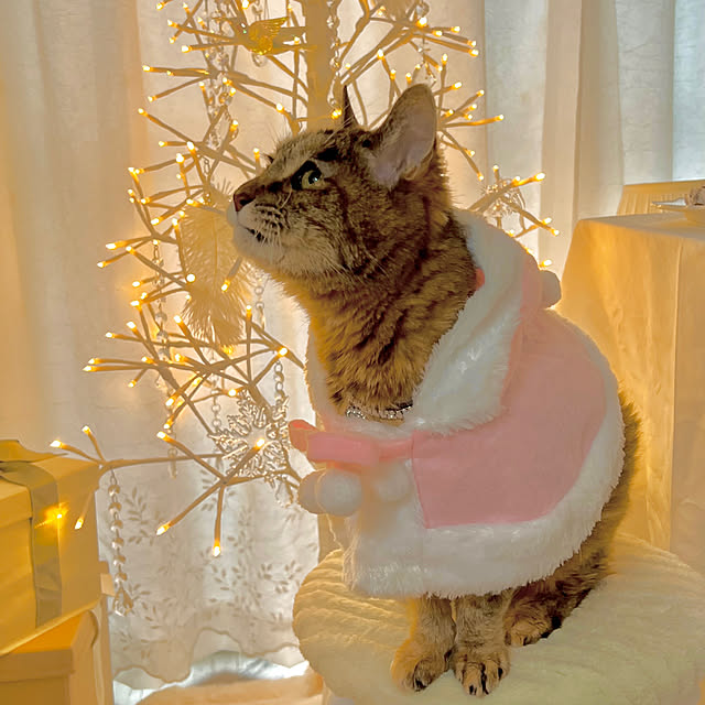 blue.with.whiteさんの部屋