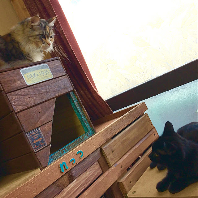 bebi.kさんの実例写真