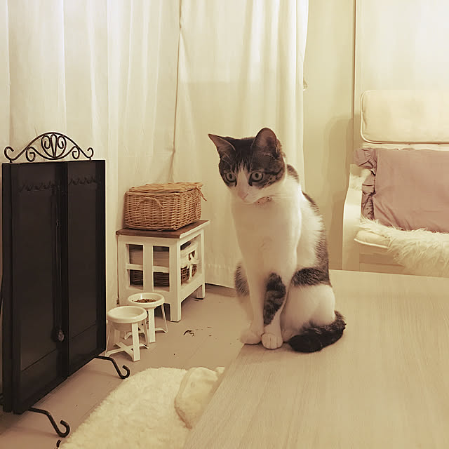 Shihoさんの実例写真