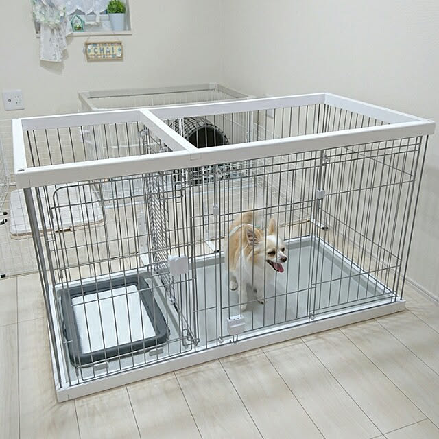 PAOさんの実例写真
