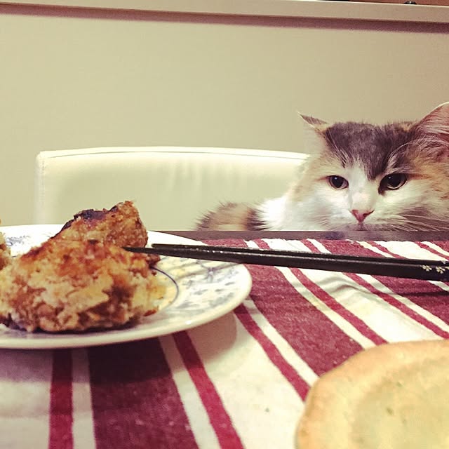 6さんの実例写真