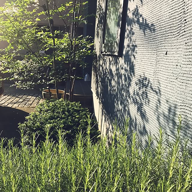 tommyさんの実例写真