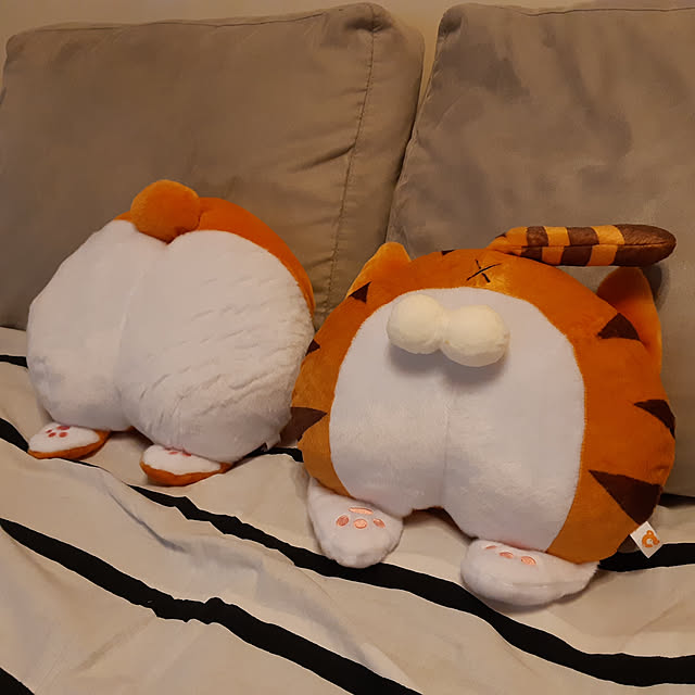 CinqinTWさんの実例写真