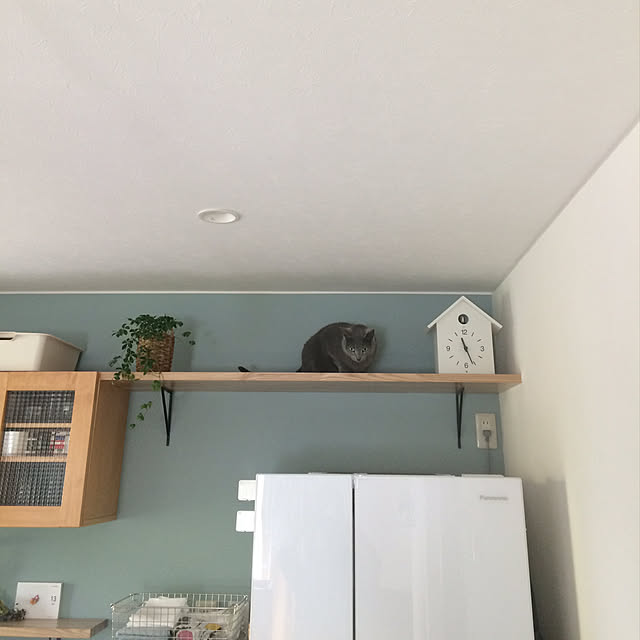 apiさんの実例写真