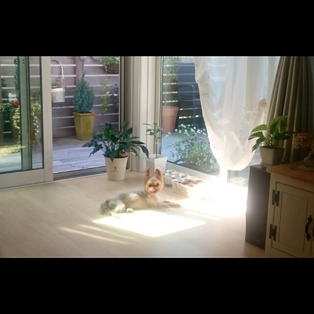 ayasweetさんの実例写真