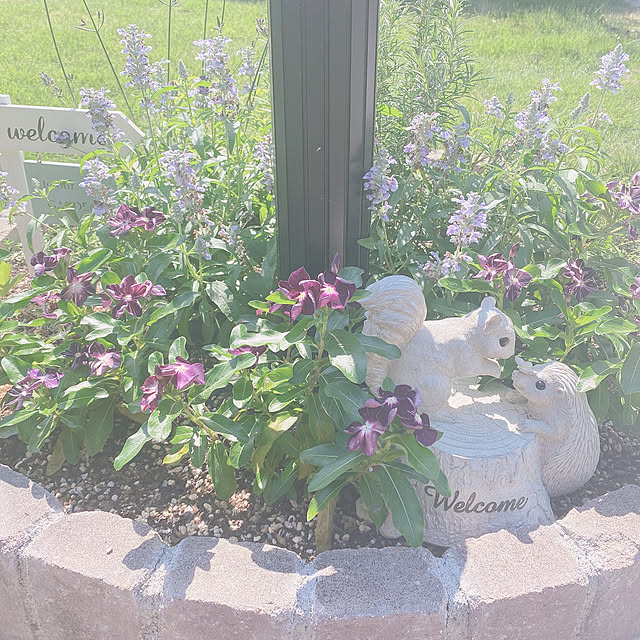 nozomi0808さんの実例写真